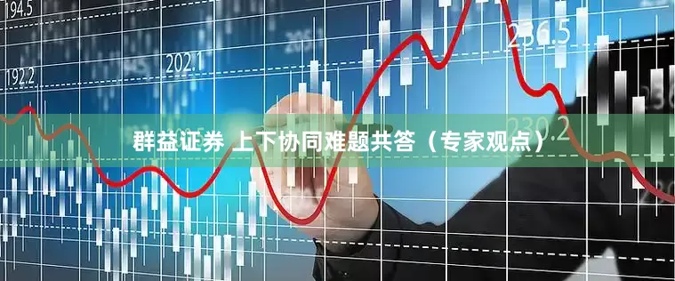 群益证券 上下协同难题共答（专家观点）
