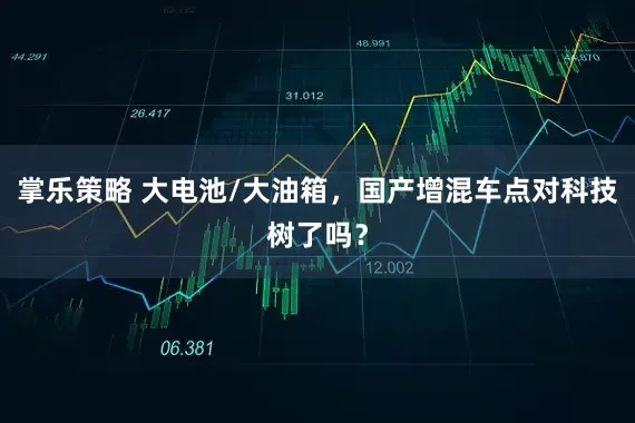 掌乐策略 大电池/大油箱，国产增混车点对科技树了吗？