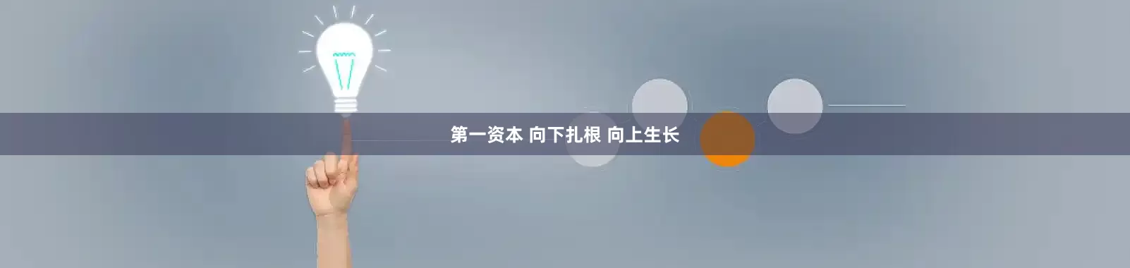 第一资本 向下扎根 向上生长