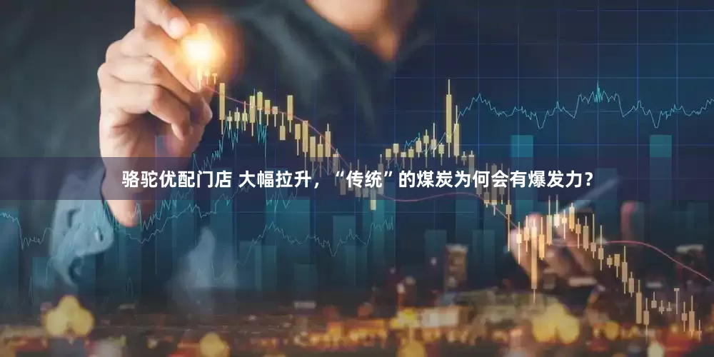 骆驼优配门店 大幅拉升，“传统”的煤炭为何会有爆发力？